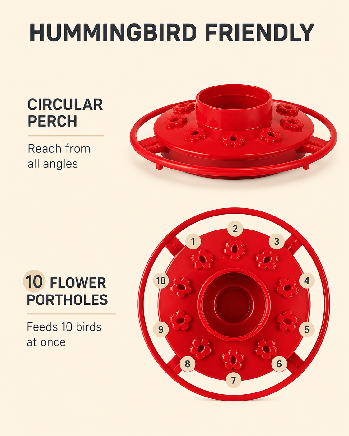 Vibrant Hummingbird Feeder | 16 OZ Capacity with 10 Feeding Ports | Easy Setup for Backyard Birdwatching