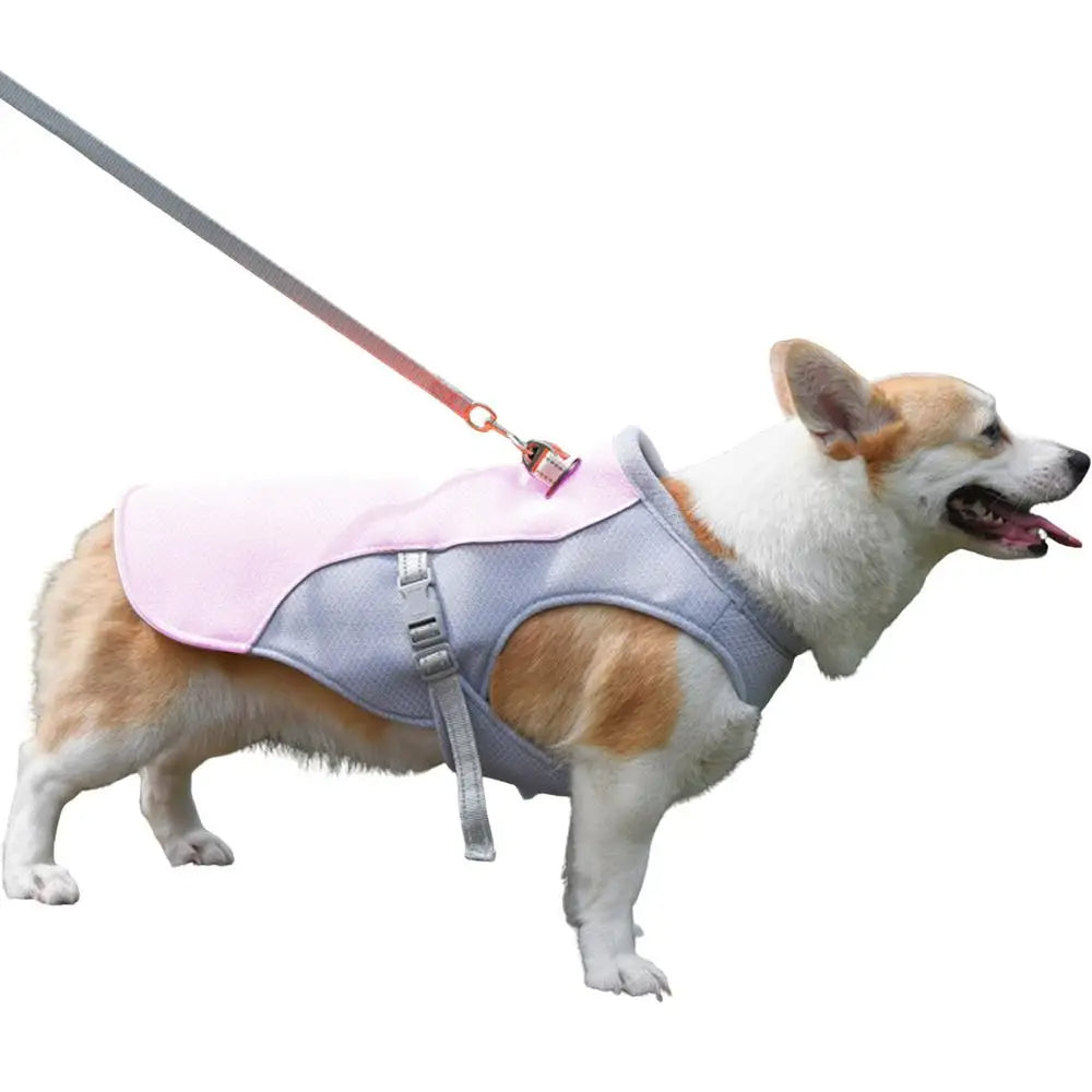 Active Paws | Dog Cooling Vest with Three-Layer Fabric System | Lightweight Cooling Jacket for Outdoor Adventures