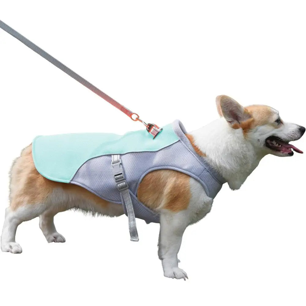 Active Paws | Dog Cooling Vest with Three-Layer Fabric System | Lightweight Cooling Jacket for Outdoor Adventures