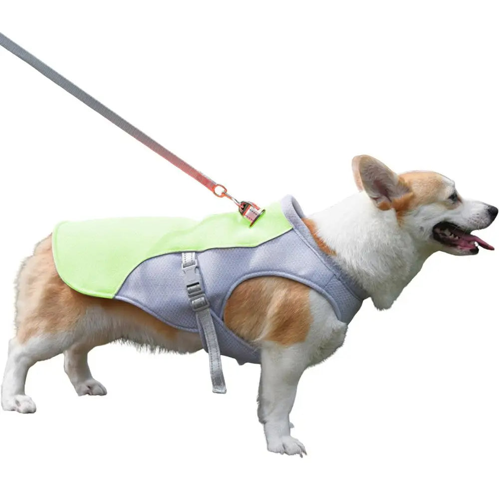 Active Paws | Dog Cooling Vest with Three-Layer Fabric System | Lightweight Cooling Jacket for Outdoor Adventures
