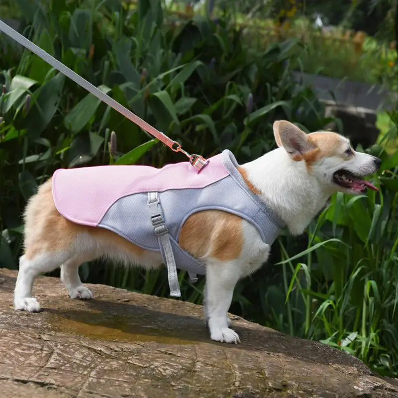 Active Paws | Dog Cooling Vest with Three-Layer Fabric System | Lightweight Cooling Jacket for Outdoor Adventures