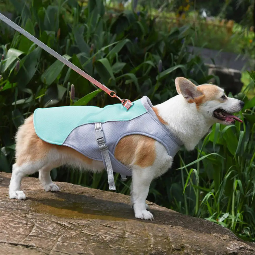 Active Paws | Dog Cooling Vest with Three-Layer Fabric System | Lightweight Cooling Jacket for Outdoor Adventures