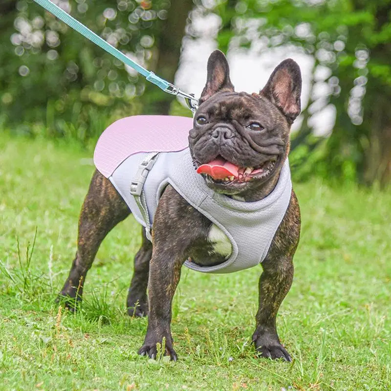 Active Paws | Dog Cooling Vest with Three-Layer Fabric System | Lightweight Cooling Jacket for Outdoor Adventures